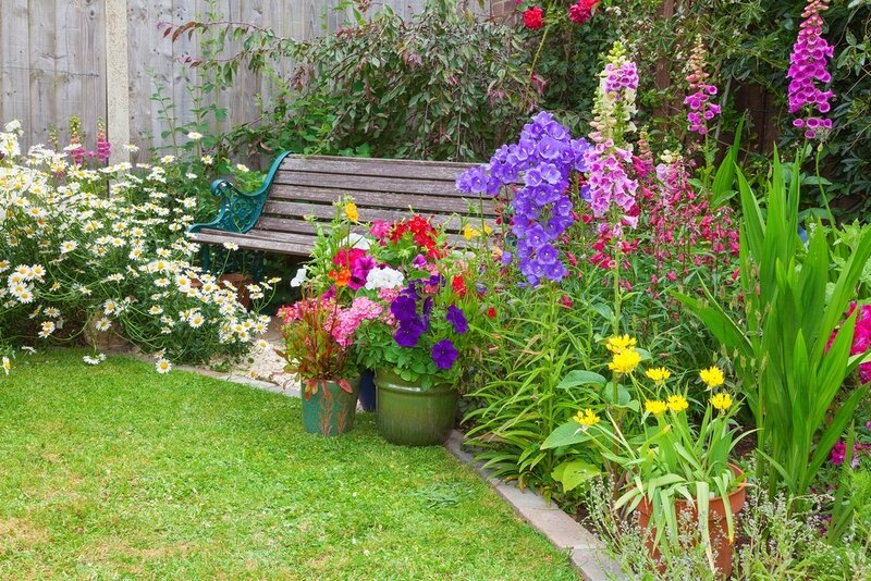 June Gardening Checklist